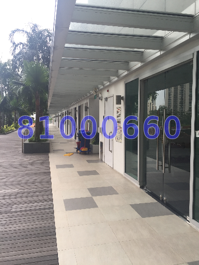 The Rochester Residences (D5), Condominium #38631942
